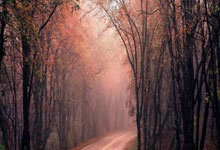 费尔明:我们不会为赛程或休息时间找借口,我们发挥出色.