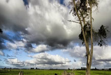 乐玩体育:斯诺克世锦赛种子席位之争:上届亚军或压线入围 中国新星难逆袭.