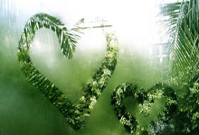 乐玩体育:LIV新加坡高球赛次日 尼曼与约翰逊并列第一.