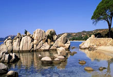 乐玩体育:全国体育院校篮球工作研讨会在日照召开.